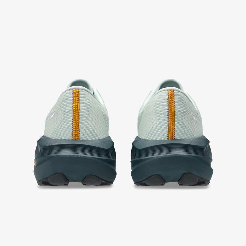 Asics Novablast™ 5 TR 