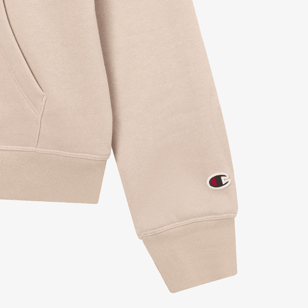 Champion Hooded Sweatshirt 