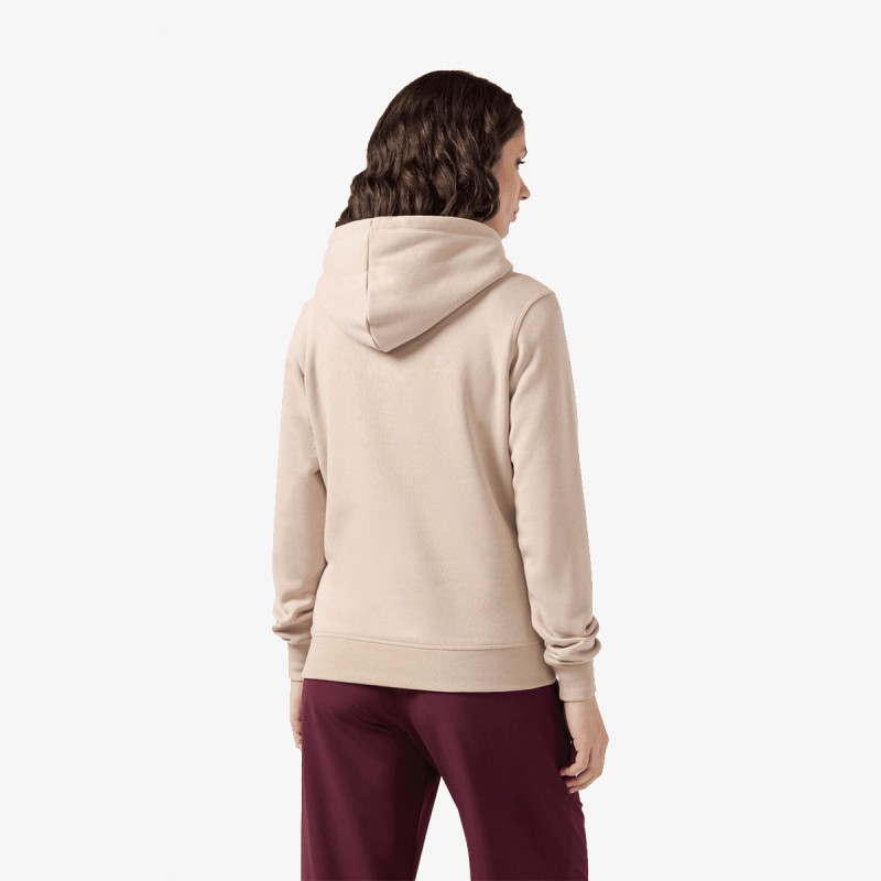 Champion Hooded Sweatshirt 