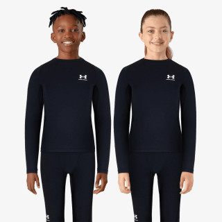 Under Armour UA HG ARMOUR LS 1 