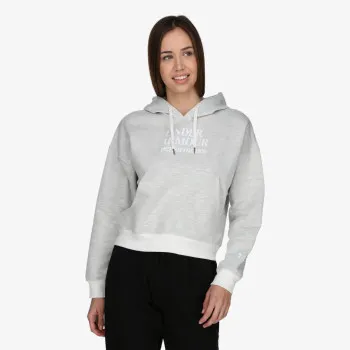 Under Armour ESSENTIAL SCRIPT HOODIE 