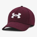 Under Armour Men's UA Blitzing 