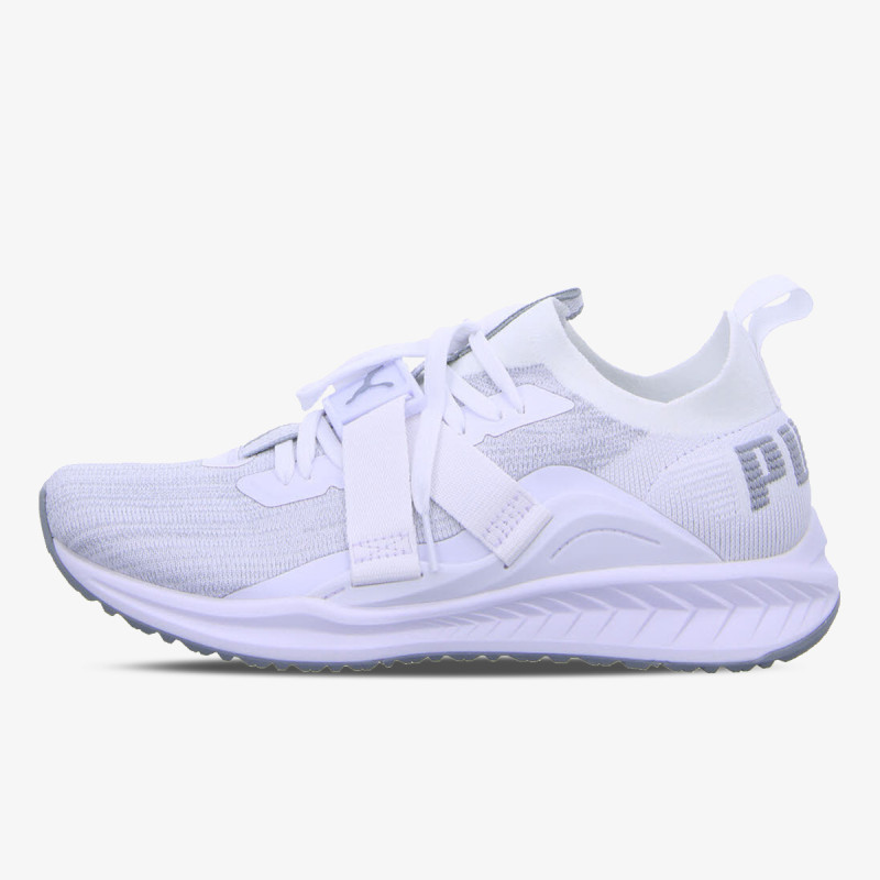 Puma IGNITE EVOKNIT LO 2 