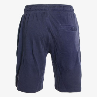 Champion Basic 