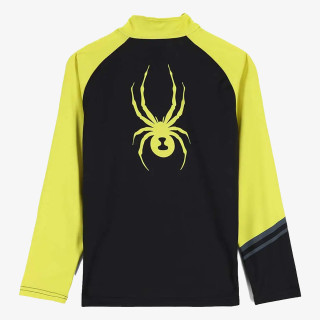 Spyder WEB 