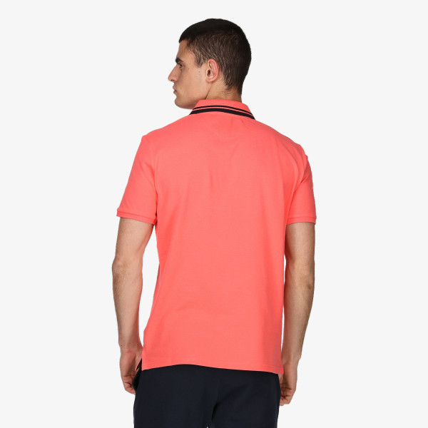 Champion POLO 