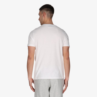 Champion EU Class Label 