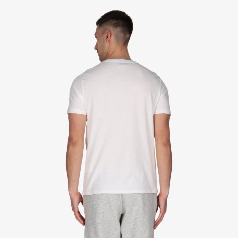 Champion EU Class Label 