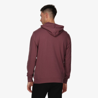 Champion Easy 