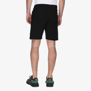 Champion Shorts 