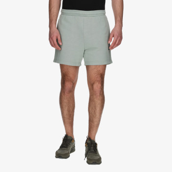Champion Shorts 