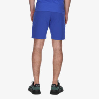 Champion Shorts 