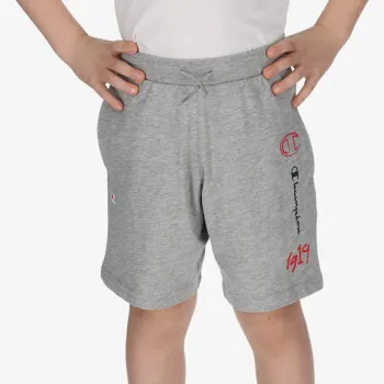 CHAMPION 1919 