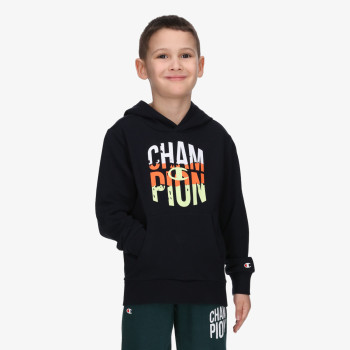 Champion Hooded Sweatshirt 