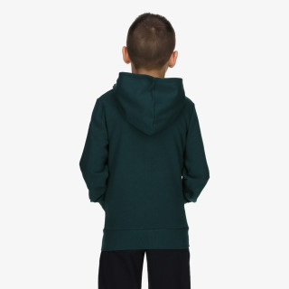 Champion Hooded Full Zip Sweatshirt 