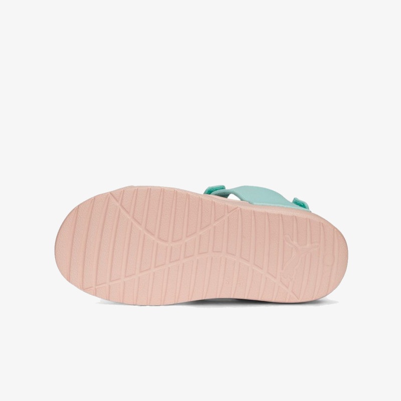 Puma DIVECAT V2 INJEX PS 