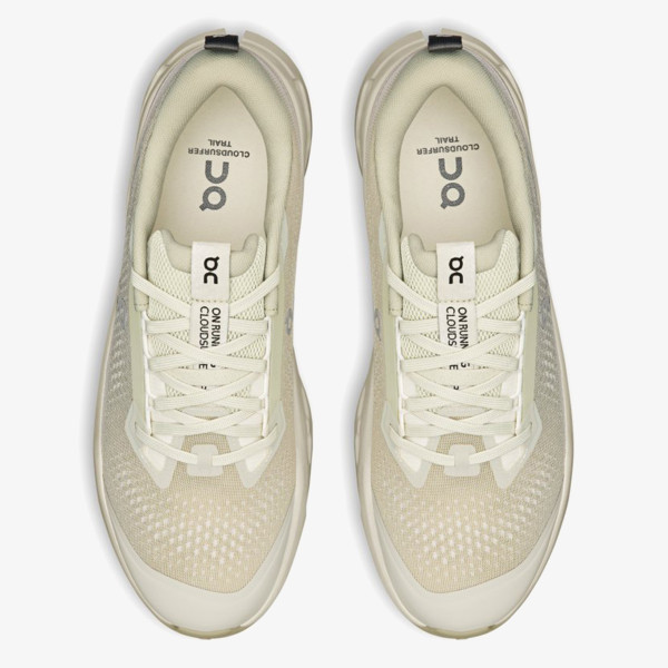 On Cloudsurfer Trail 2 