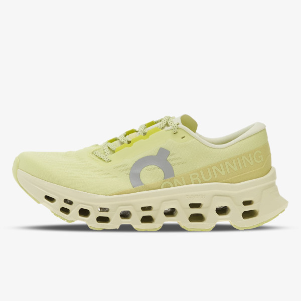 On Cloudmonster 3 