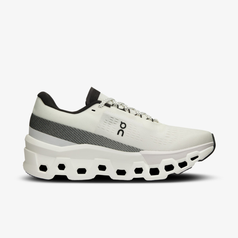On Cloudmonster 2 