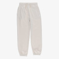 Jordan JDG WJ BRKN FT  PANT 
