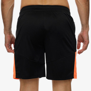 Puma INDIVIDUALFINAL TRAINING SHORTS 