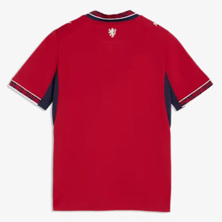 Puma FACR Home Jersey Replica Jr Dark Cherry- 