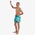 Speedo Printed 13