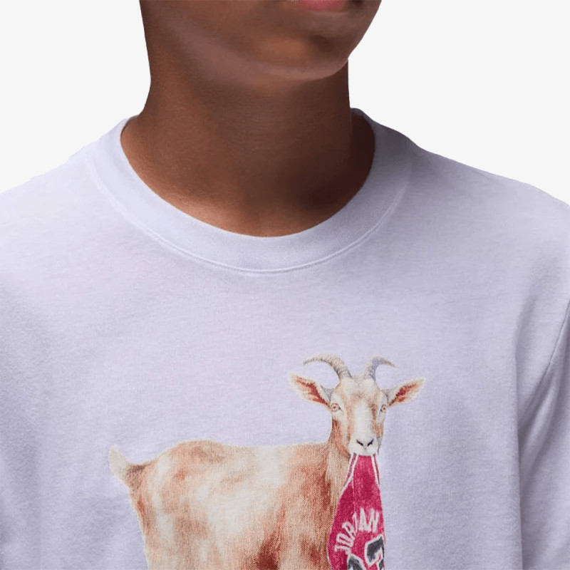 Jordan JDB MJ FLT GOAT SS CREW 