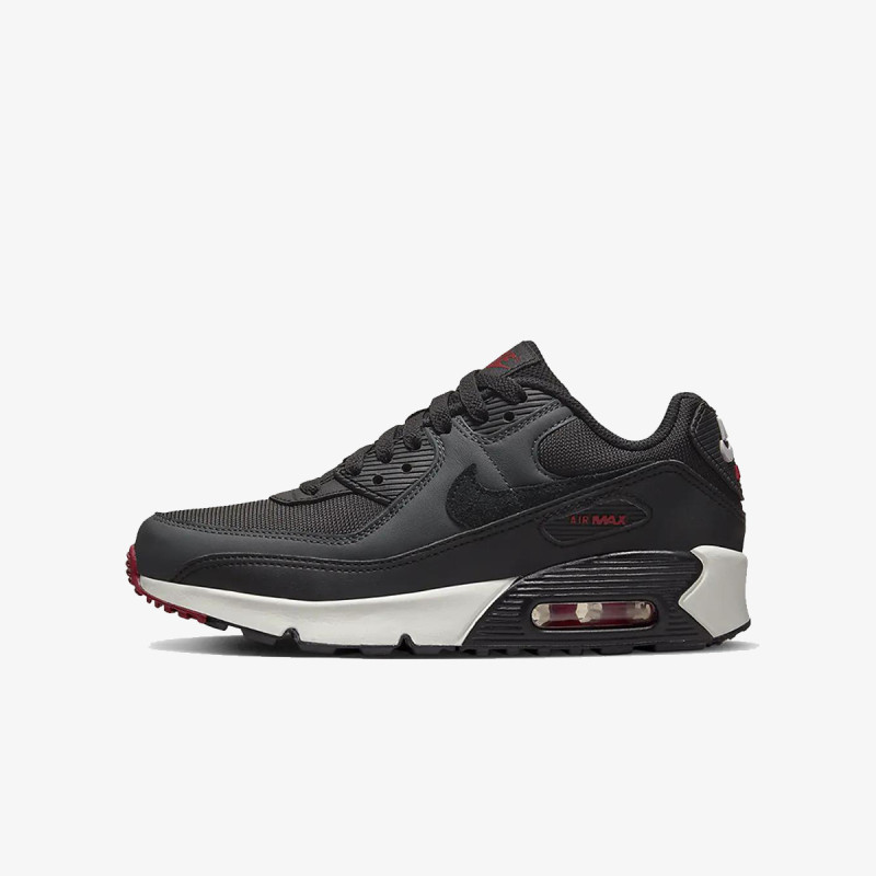 Nike NIKE AIR MAX 90 LTR GS 