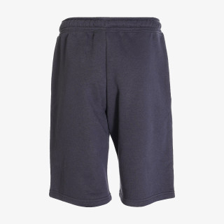Champion Basic 