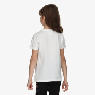 Champion Hologram 