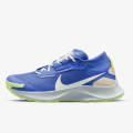 Nike Pegasus Trail 3 GORE-TEX 