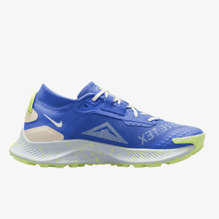 Nike Pegasus Trail 3 GORE-TEX 