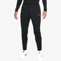 Nike M NK TF ACD PNT KPZ WW 