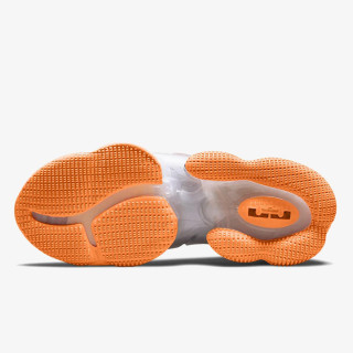 Nike LEBRON XIX SEASONAL 