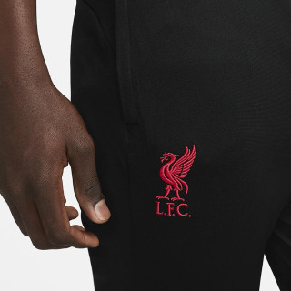 Nike Liverpool FC Strike 