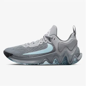 NIKE GIANNIS IMMORTALITY 2 DM0825-004