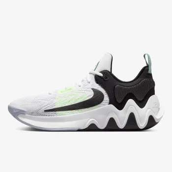 NIKE GIANNIS IMMORTALITY 2 DM0825-101