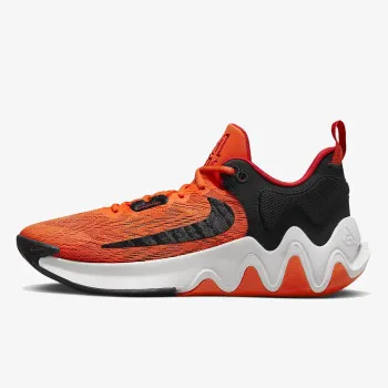 NIKE GIANNIS IMMORTALITY 2 DM0825-800