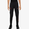 Nike PSG Y NK DF STRK PANT KPZ KSAW 