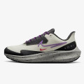 Nike NIKE Air Zoom Pegasus 39 Shield 