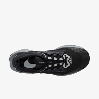 Nike Pegasus Trail 5 Gtx 