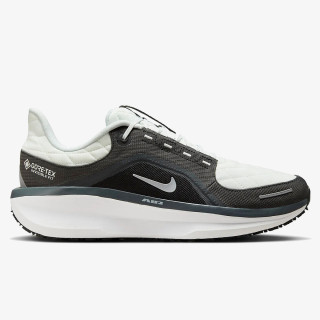 Nike Air WInflo 11 