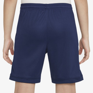 Nike Academy 25 