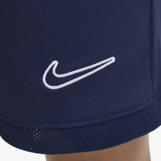 Nike Academy 25 