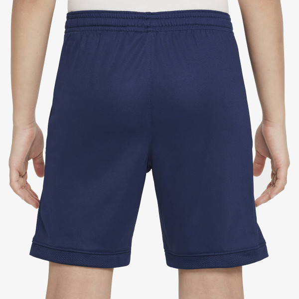 Nike Academy 25 