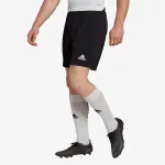 ADIDAS ENTRADA 22 