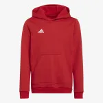 ADIDAS Entrada 22 