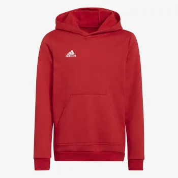ADIDAS Entrada 22 