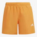 adidas YB BOS SHORTS 